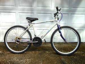 black hills free spirit bike
