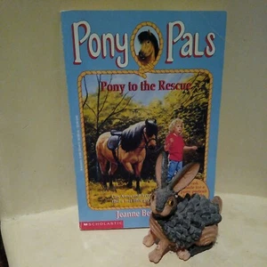 Ponyfreunde Ser.: Pony zur Rettung von Jeanne Betancourt (1995, Handelstaschenbuch) - Bild 1 von 7