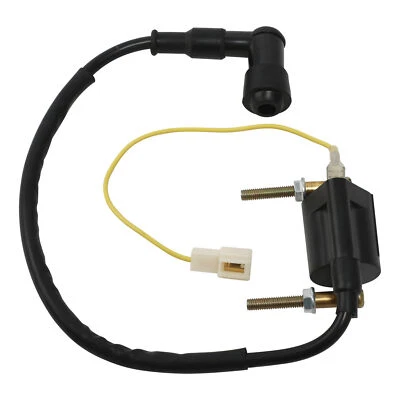 Bobina de encendido negra apta para Yamaha PW50 1986-1987 1990-2009 PW80 1983-2006 Foto 1 de 4