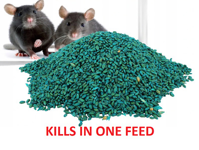 Rodent Poison Bait Killer Strong Rat & Mouse Bait + Free Gloves UK Fast Shipping • 6.29£