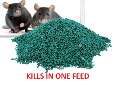 Rodent Poison Bait Killer Strong Rat & Mouse Bait + Free Gloves UK Fast Shipping • 3.29£
