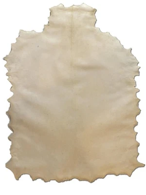 FORUM TRAIANI Pergament Rolle ganze Haut ca, 80x60cm, echte Tierhaut Ziege/Schaf
