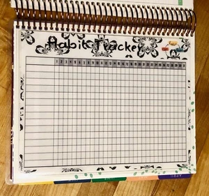 Monthly Habit Tracker Dashboard Insert for use with Erin Condren Planner~ - Picture 1 of 3