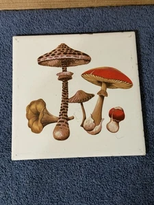 H&R Johnson Ltd Remache de Setas Cerámica Cuadrado Seta Groovy 6.5" Años 70 De Colección - Imagen 1 de 13