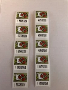 Deut. Post 10 x 0 95€ Briefmarken Blumenbrief Selbstklebend Aus Markenbox Neu ! - Bild 1 von 3