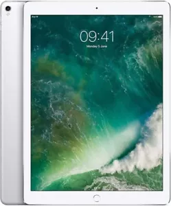 Apple iPad Pro 12.9 (2017) 2nd Gen, Wifi+Cellular, 512 GB 4 GB RAM, Unlocked, - Picture 1 of 10