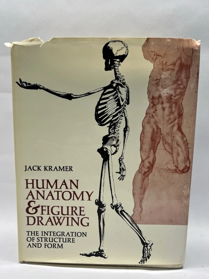 Jack Kramer, Human Anatomy & Figure Drawing. 1st Edition 1972 - Image 1 of 4