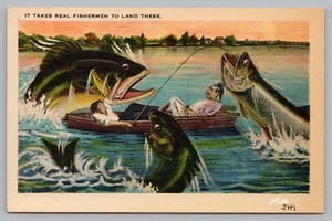 Postcard It Takes Real Fishermen to Land These Exaggeration Tall Tale Unposted - Picture 1 of 2