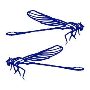 Dragonfly Decal - 2 Pack - DragonFly Sticker - Picture 1 of 3