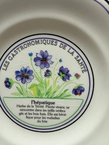 Vintage French Plate "L’Hépatique" – Les Gastronomiques de la Santé, c1950s - Picture 1 of 6