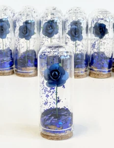 10 pcs Wedding Favors for Guests, Party Favors, Beauty and the Beast, Glass Dome - Picture 1 of 8