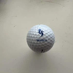 Wailea Country Club Hawaii Souvenir Golf Ball pinnacle one - Picture 1 of 2