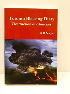 Toronto Blessing Diary Destruction of Churches by K B Napier (Paperback, 2019) - Picture 1 of 4