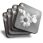 Set of 4 Square Coasters - BW - White Butterfly and Daisies  #38575