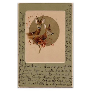 Antike Hirsch Illustration Postkarte - Jugendstil um 1905 - Deutsche Natur Tierwelt - Bild 1 von 2