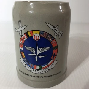 Beyer Euro OTAN Militar Cerveza Alemana Stein Taza Cerámica Gres Fuerza Aérea .5L - Imagen 1 de 12