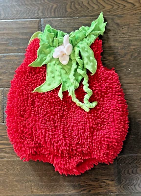 Disfraz Princesa Paraíso Fresa Talla 18T-2T Foto 1 de 4