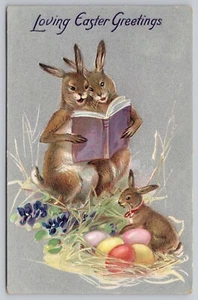 1908 Tuck Easter - Rabbit Parents Read to Baby - Anthropomorphic Bunny Postcard - Picture 1 of 2