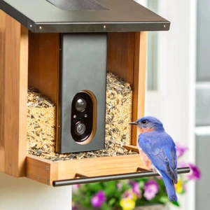 Smart Solar Bird Feeder - Picture 1 of 8