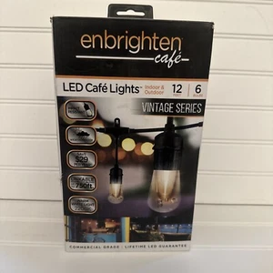 Enbrighten 35626 12 ft. Outdoor/Indoor LED String Lights, Acrylic Edison Bulbs - Picture 1 of 7