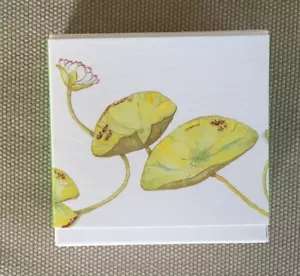 Hermes "UN JARDIN SUR LE NIL". SEIFE, 50 g Jegliche Markennamen sind geschützt u - Bild 1 von 3