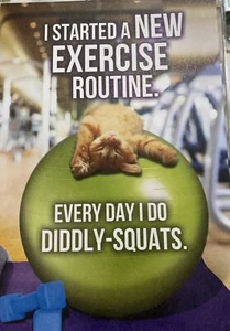 Exercise, Every Day I Do Diddly Squats Funny Cat, Happy Birthday Greeting Card - Picture 1 of 3
