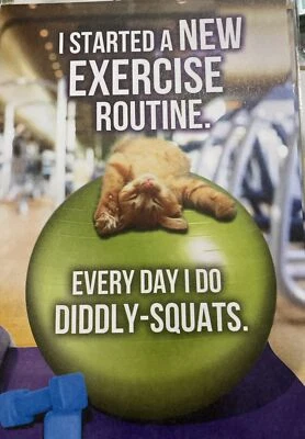 Ejercicio, todos los días hago sentadillas divertidas gato, tarjeta de felicitación de feliz cumpleaños Foto 1 de 3