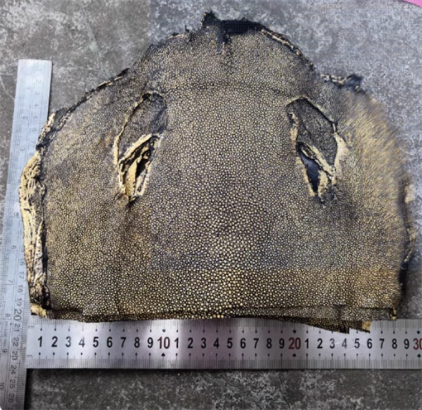 1X Stingray Fish hide Skin Polished Fish Leather Hide Pelt DIY Material Scrap - Image 1 of 4