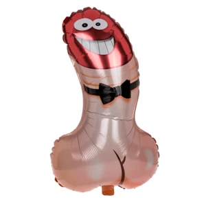 JGA Ballon Penis Folienballon Luftballon Bride Junggesellinnenabschied Pimmel - Bild 1 von 3