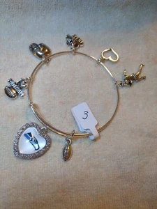 Seattle Seahawks Custom Expandable Charm Bracelet NEW - Picture 1 of 1
