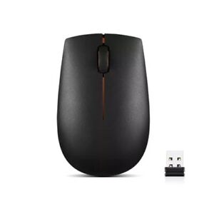300 Wireless Mouse – Computer Mouse for PC, Laptop with Windows – Ambidextrou...