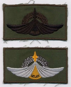 Stoffabzeichen MILAN,oliv,Deutschland,Frankreich,Panzerabwehrwaffe,Abzeichen,F,D - Bild 1 von 3