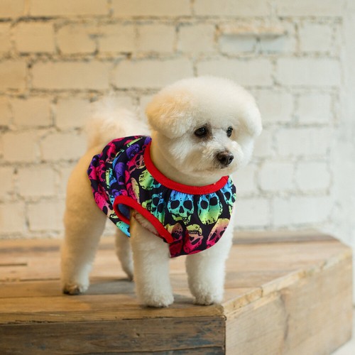 VETEMENTS Felpa con teschio colore animale domestico maglione teschio per cane animale domestico