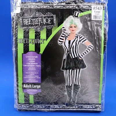 Beetlejuice Costume Adult Large 10-12 Striped Dress, Tights, Hat, & Arm Warmers - Image 1 of 4