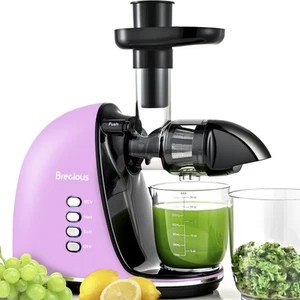 Slow Masticating Juicer,Cold Press Juicers with 2 Speed Modes & Quiet Motor,J... - Picture 1 of 9