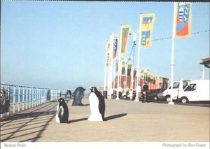 REDCAR PROM, Yorkshire - Vintage POSTCARD - Picture 1 of 2