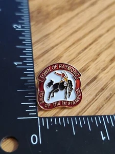 Town Of Raymond Alberta Canada First Stampede Souvenir Travel PIN G9 - Imagen 1 de 2