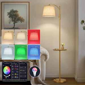 Smart Floor Lamp with Side Table | Stepless Dimming, RGB Multi-Color | Adjustabl - Picture 1 of 6