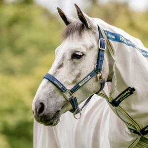 Horseware Ireland Field Safe Headcollar - Picture 1 of 7
