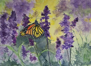 Aceo Tiger Schwalbenschwanz Schmetterling und Salvia lila Blumen Print auf Karton - Bild 1 von 1