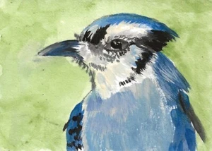 Aceo Blue Jay Original Painting - Picture 1 of 1
