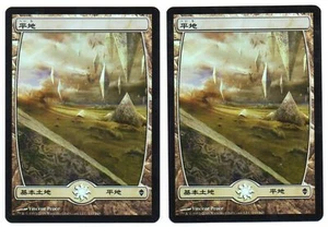 MTG 1x Zendikar common land FOIL Japanese LP Plains #233 Vincent Proce - Picture 1 of 2