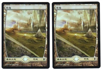 MTG 1x Zendikar common land FOIL Japanese LP Plains #233 Vincent Proce - Image 1 of 2