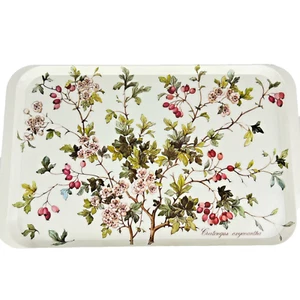 Vintage Villeroy & Boch Botanica Serviertablett - Crataegus Oxyacantha 18,5x11,25" - Bild 1 von 12
