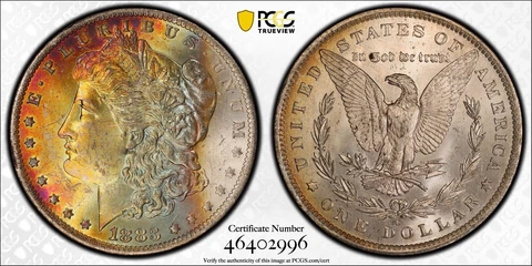 1883-O Morgan Dollar PCGS MS63 Vibrant Fuchsia Yellow Rainbow Toned w/Video Cover