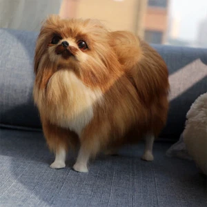 Realista Pomerania Modelo Perro Pomerania Juguete Peluche Muñeca Animal Artesanal Adorno - Imagen 1 de 5