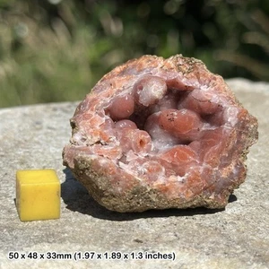 Stalactitic Quartz Crystal - Authentic Spiritual Healing Mineral Stone - Picture 1 of 1