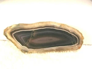 Botswana agate geode slice 2.5x1 inch u72 - Picture 1 of 1