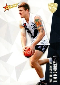 2012 SYDNEY SWANS AFL Card TIM MEMBREY Future Force - Picture 1 of 3