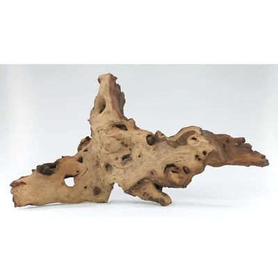 Mopani Wurzel Größe "M" 20-30cm Holz für Aquarium Terrarium Reptilien HardScape